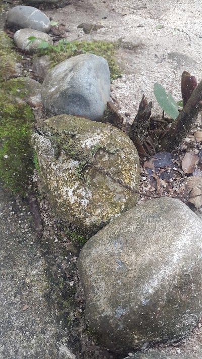 Photos of Laguna Azul ( Guaysayacu)