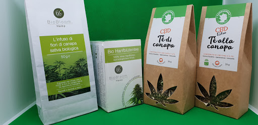 Green Zone Hempshop Gallery - Italy