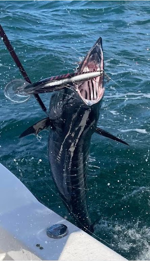 Buccaneer Fishing Charters, LLC - Thumbnail