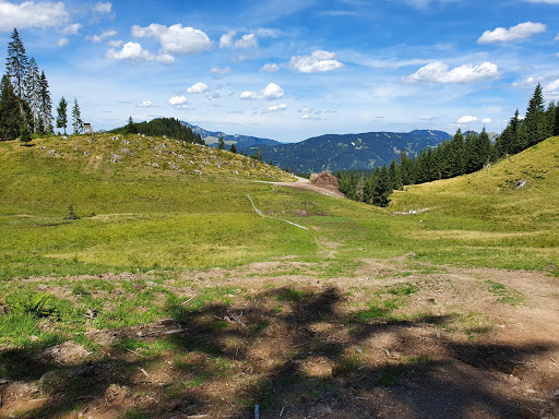 Hühnermoos - Visual