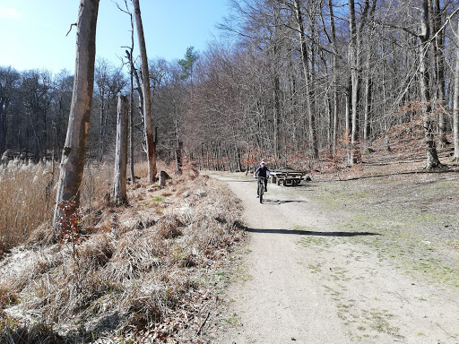 Fahrradverleih-mse