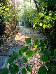 Photo n°48 de Gîtes du Clos Cèze Art à Saint-André-de-Roquepertuis (Lodge)