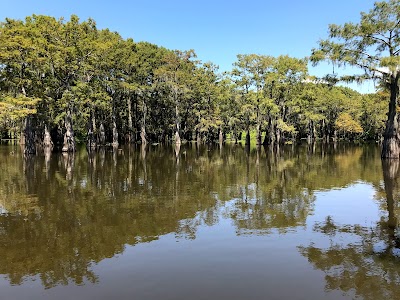 Atchafalaya Basin Landing Airboat Swamp Tours