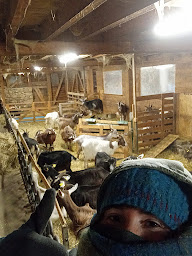 Photo n°48 de Les Chèvres du Bosquet à Vanosc (Vacances à la ferme)