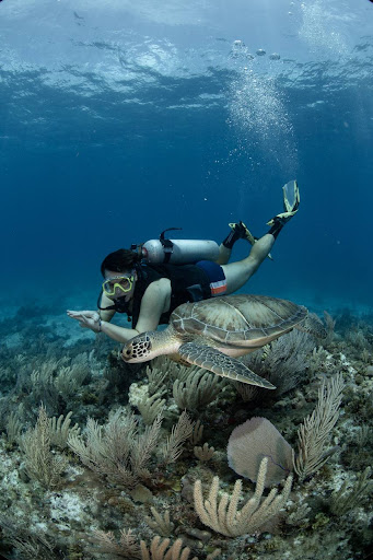 Shutterfish Scuba Diving