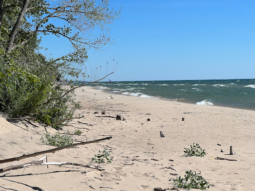 Buchanan Beach - Visual