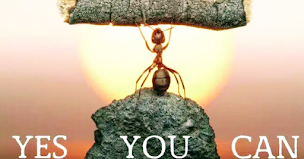 Photo n°17 de Sandra LEFEBVRE - Sophrologue - Gestion des émotions, Accompagnement, Guidance, Gestion du Stress, Massage Intuitif. à Cormeilles-en-Parisis (Massothérapeute)