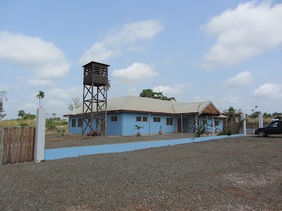Photos of The Wooden Tower