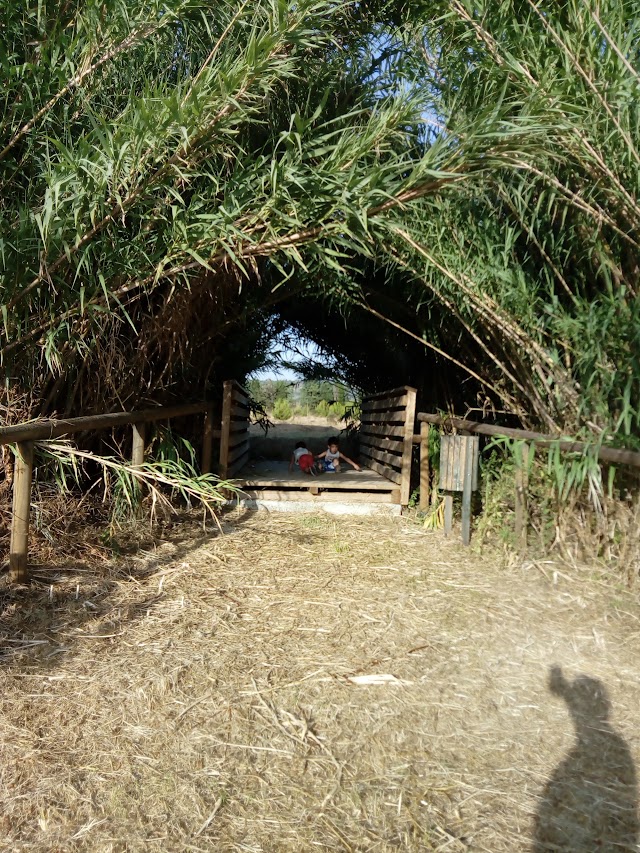Irgoli