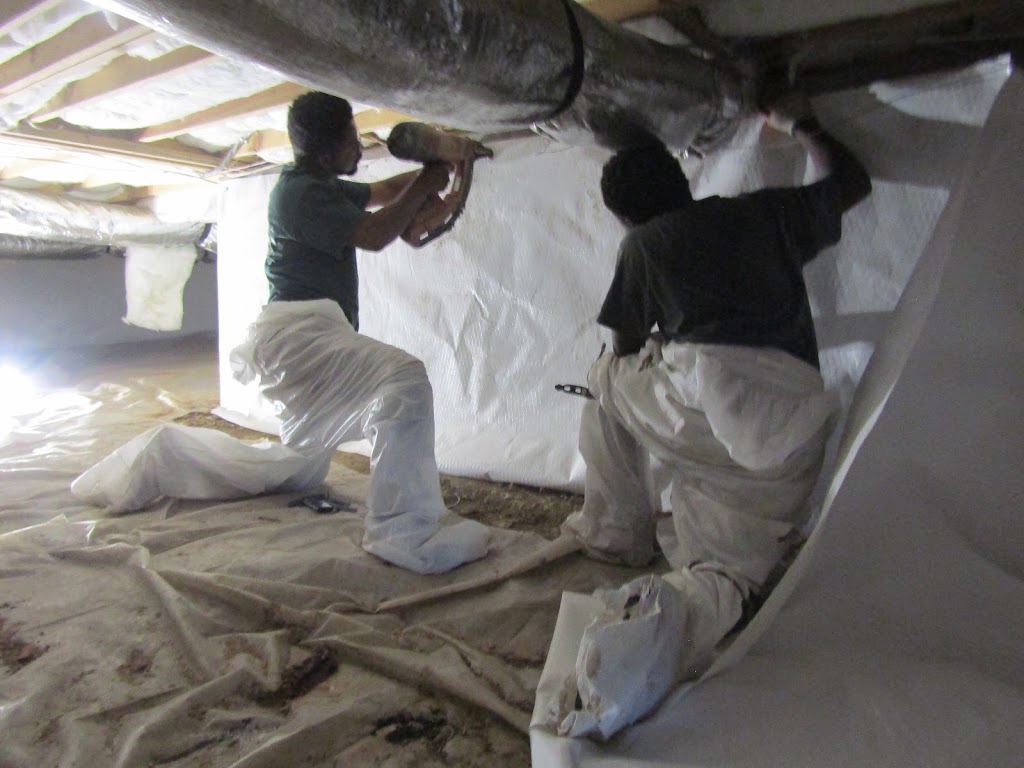 Mold & Mildew Solutions, LLC photo