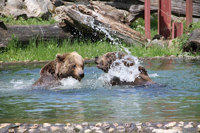 Photos of Straubing Zoo