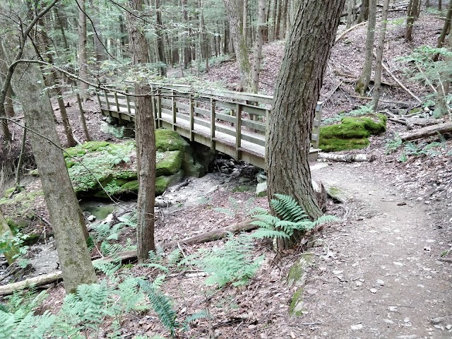 Stevens Glen Trail Head Richmond, MA