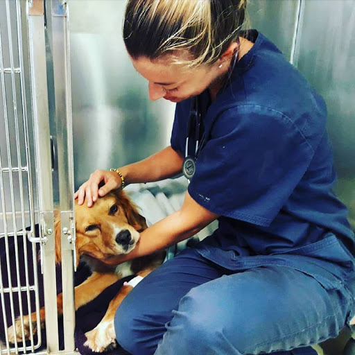 Amvet Clínica Veterinària Alt Maresme