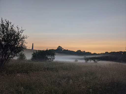 Morfa Wetlands
