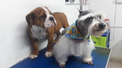 Photos of Veterinaria Mundo Pets