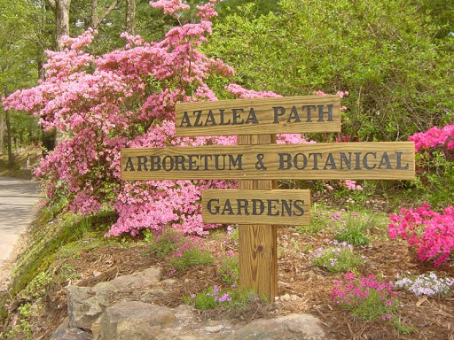 Azalea Path - Visual