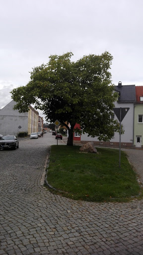 Hilbig-Stein - Visual