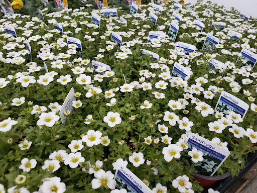 Bearney Nurseries - Thumbnail