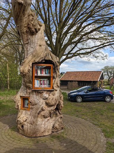 (B)ruil boom, boekenruilboom