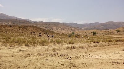 Photos of RANCHO DE ELVIS ILLAPEL - CHILE