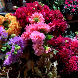 Photo n°20 de Mille&une Fleurs, Artisan Fleuriste à Yffiniac (Livraison de fleurs)