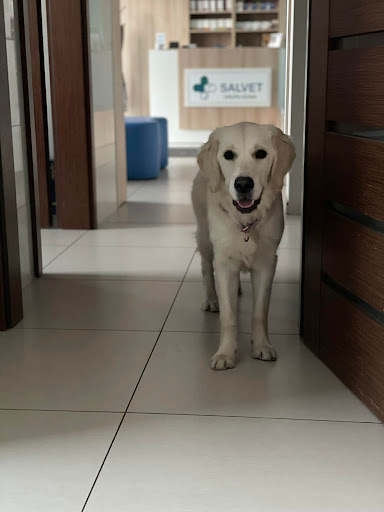 Veterinary Clinic OSTOJA Salvet