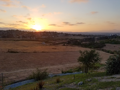 Sports Park View Point