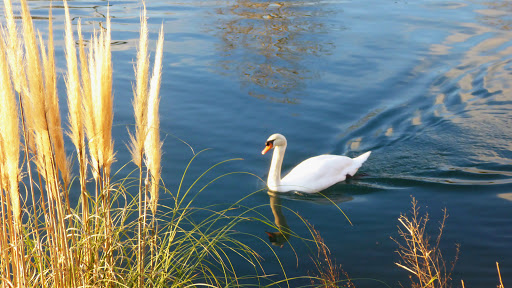 Berges de la Siagne - Thumbnail