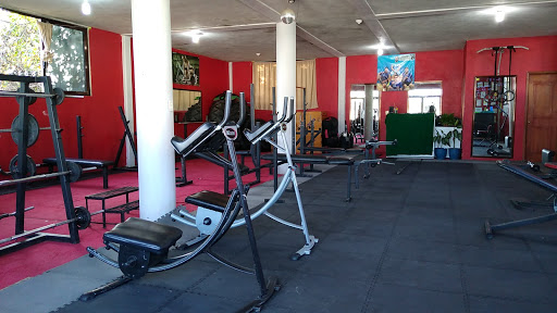 FIT CLUB TROYANOS - Thumbnail