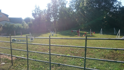 Reitclub Burgoberbach e.V. - Thumbnail