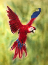 Photo n°13 de phildrawing à Saint-Laurent-des-Arbres (Décorateur d'intérieur)