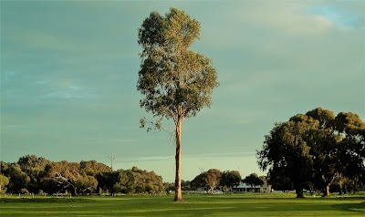 Photos of Kingston SE Golf Club
