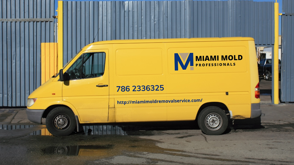 Miami Mold Professionals photo