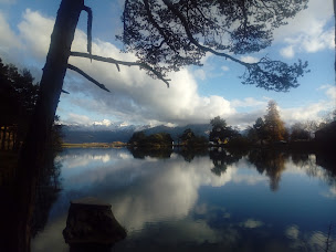 Photo n°17 de Bistrot Saint André à Saint-Apollinaire (Bistro)