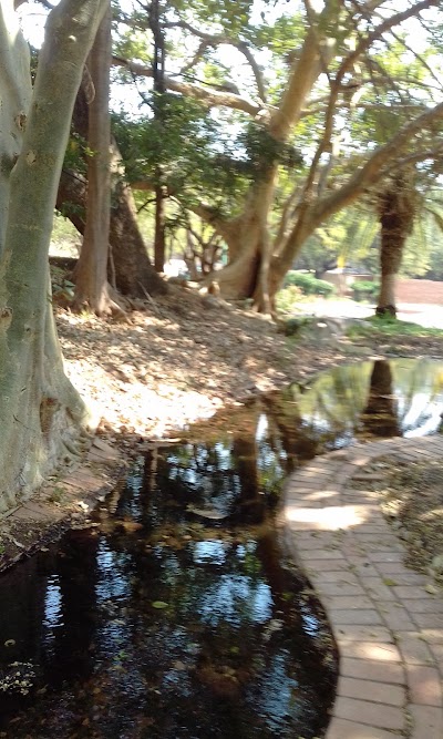 Photos of Milaboni Primary School