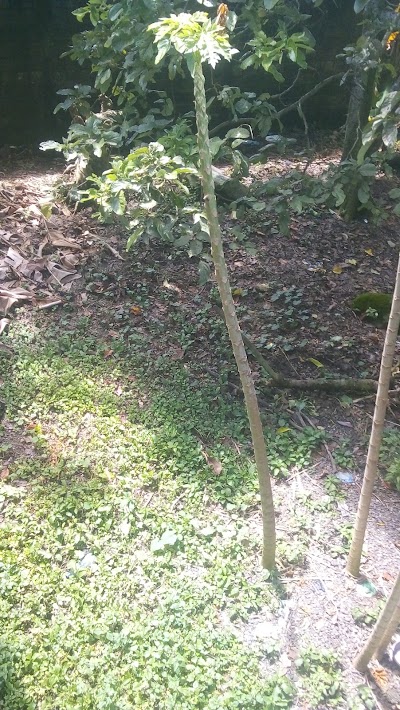 Photos of SAN ANDRES VILLA SECA Park