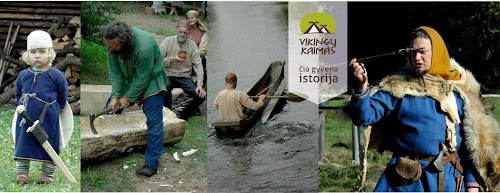 Vikingų