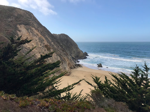 Gray Whale Cove State Beach - Thumbnail