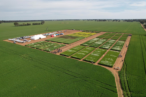 I K Caldwell AGnVET - Corowa Logo