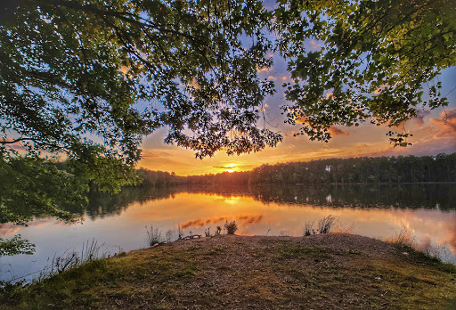 Oliphant Lake, Chester - Thumbnail