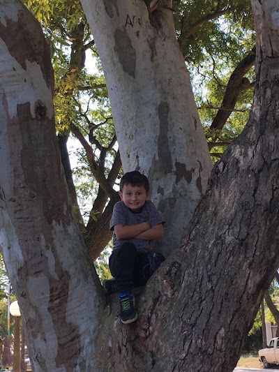 Photos of Chascomus