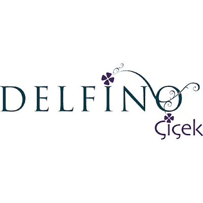 Photos of Delfino Cicek