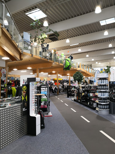 TRENGA Bicycles - Thumbnail