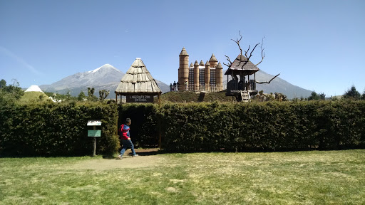 Bosque Cital Navidad
