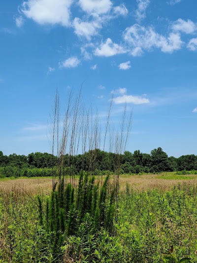 Port Tobacco River Park