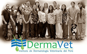 Dermavet (Institute of Veterinary Dermatology Peru) 0