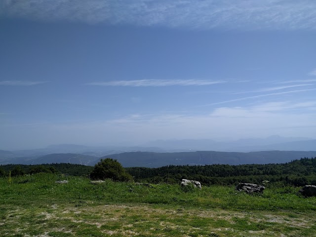 Mont Gerbier de Jonc