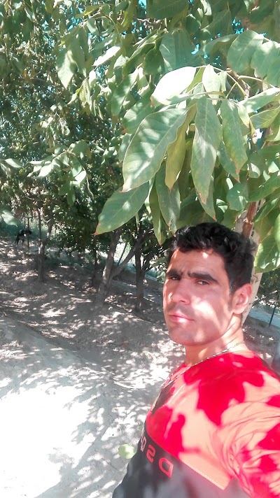 Photos of پارک هجرت