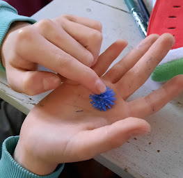 Photo n°7 de Leroy Berenice à Josnes (Praticien de médecine alternative)