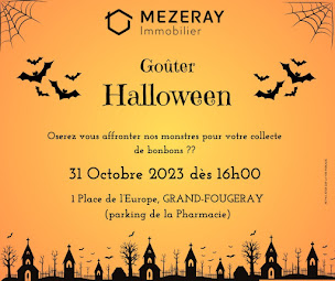 Photo n°15 de MEZERAY Immobilier à Grand-Fougeray (Agence immobilière)